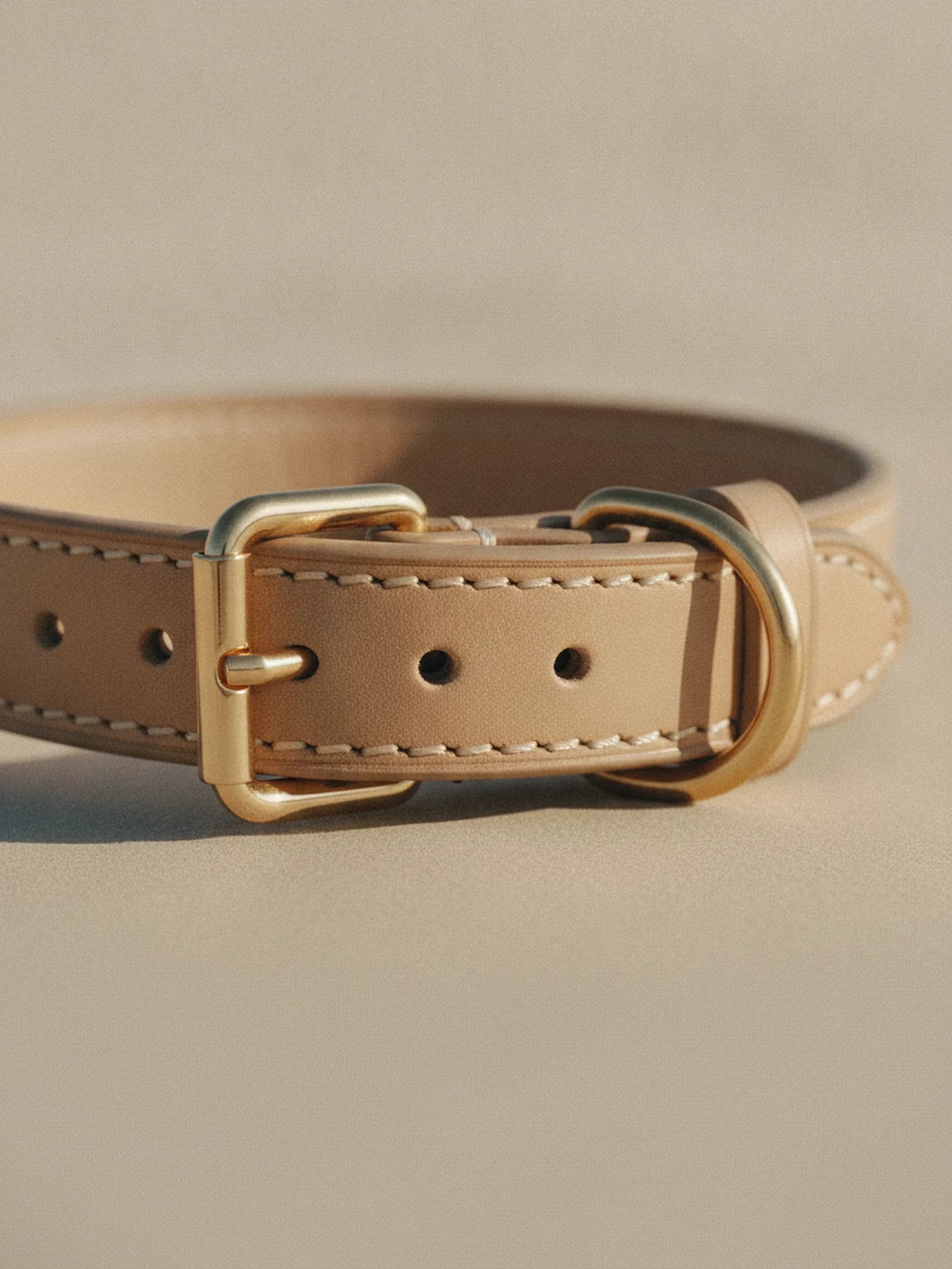 Bravura Leather Collar, image 6 of 6