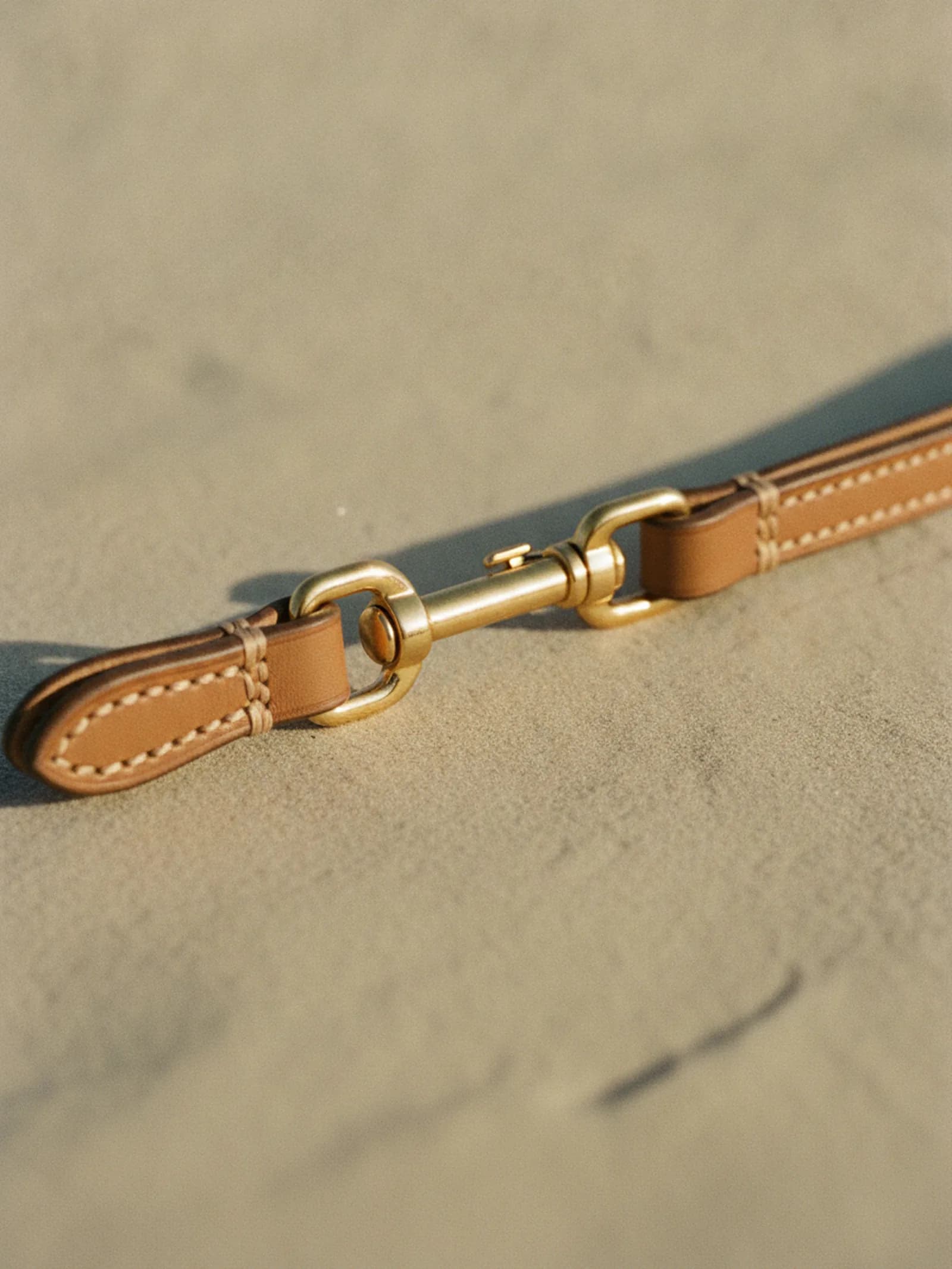 Bravura Leather Lead, image 6 of 6
