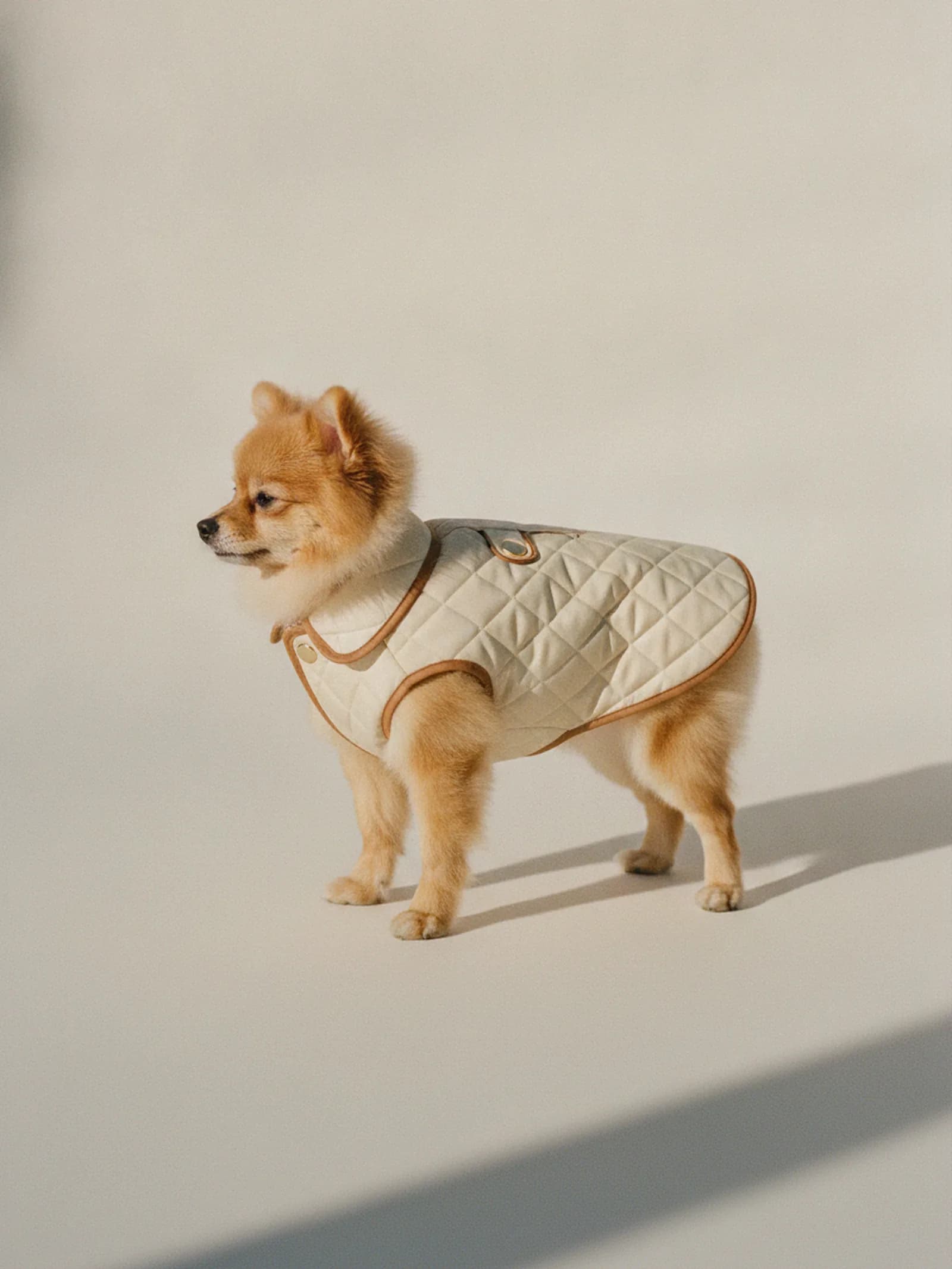Bravura Quilted Travel Coat, image 2 of 6