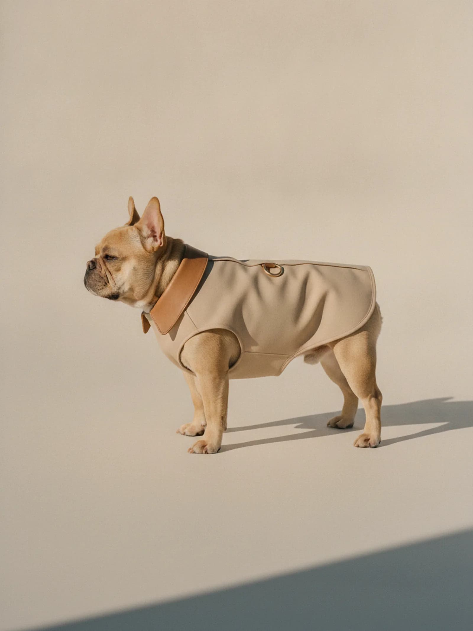 Bravura Atelier Harness Coat, image 2 of 6