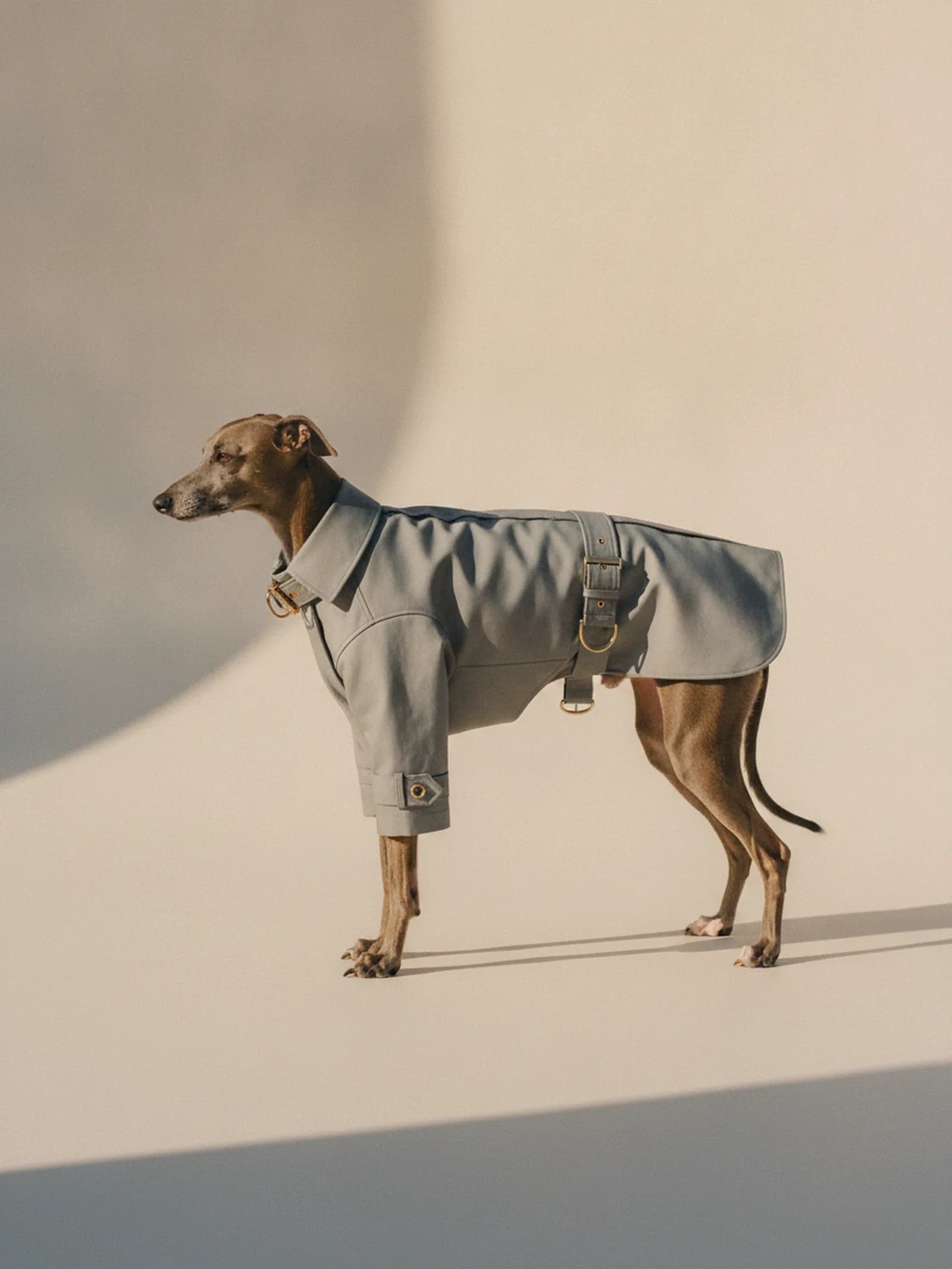 Bravura Tailored Rain Trench, image 2 of 6